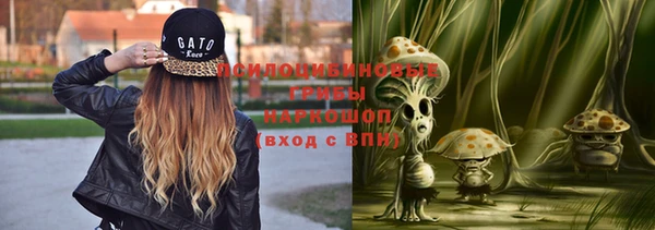 прущие грибы Богданович