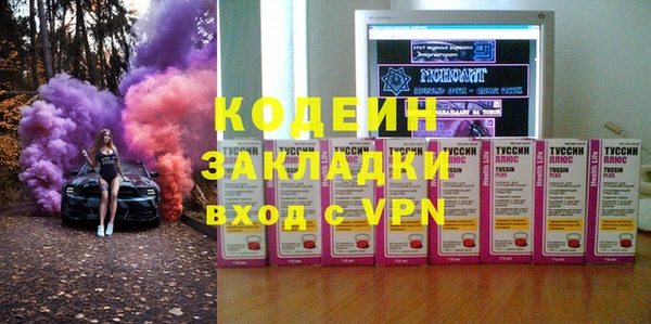 прущие грибы Богданович