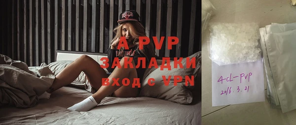 прущие грибы Богданович