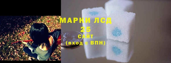 прущие грибы Богданович