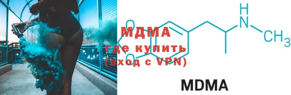 прущие грибы Богданович