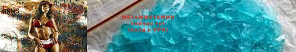 прущие грибы Богданович