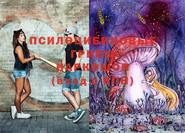 jwh Богородицк