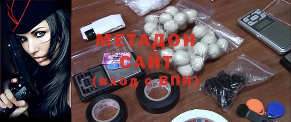 прущие грибы Богданович