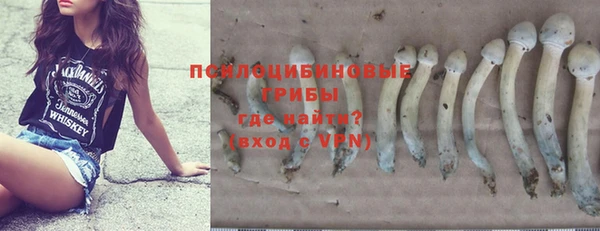 jwh Богородицк